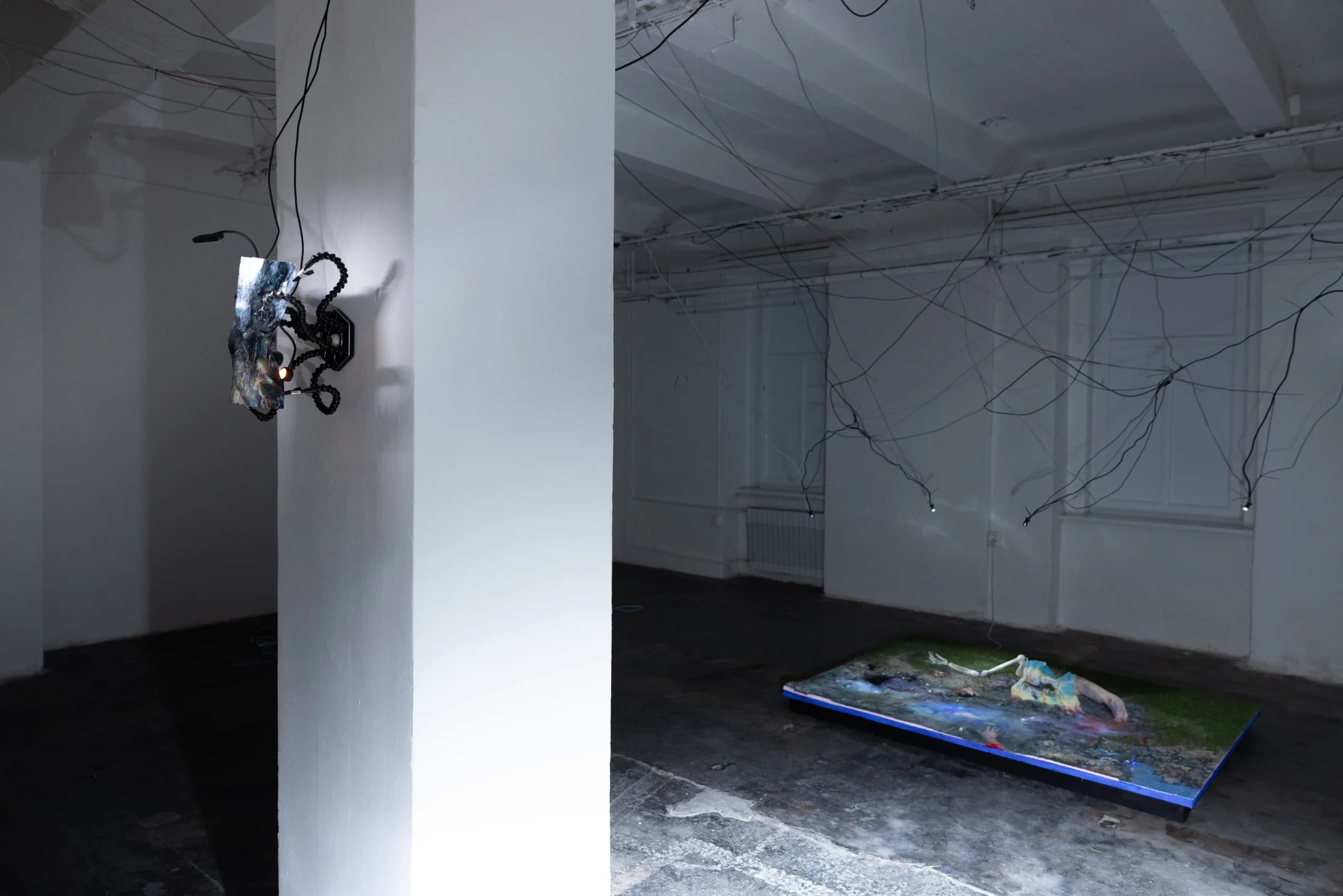 PRODLOUŽENO: Swamp Desires BINDING SITES II (Výstava)