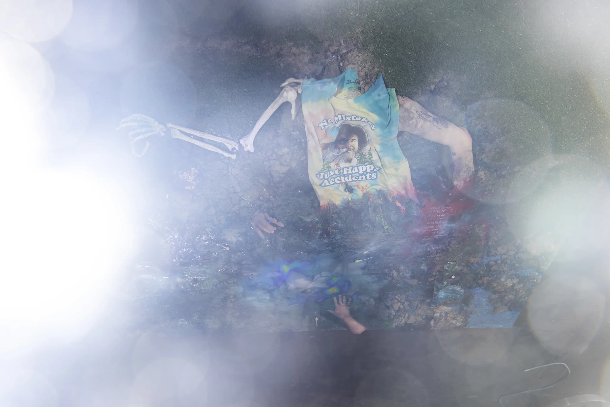 PRODLOUŽENO: Swamp Desires BINDING SITES II (Výstava)
