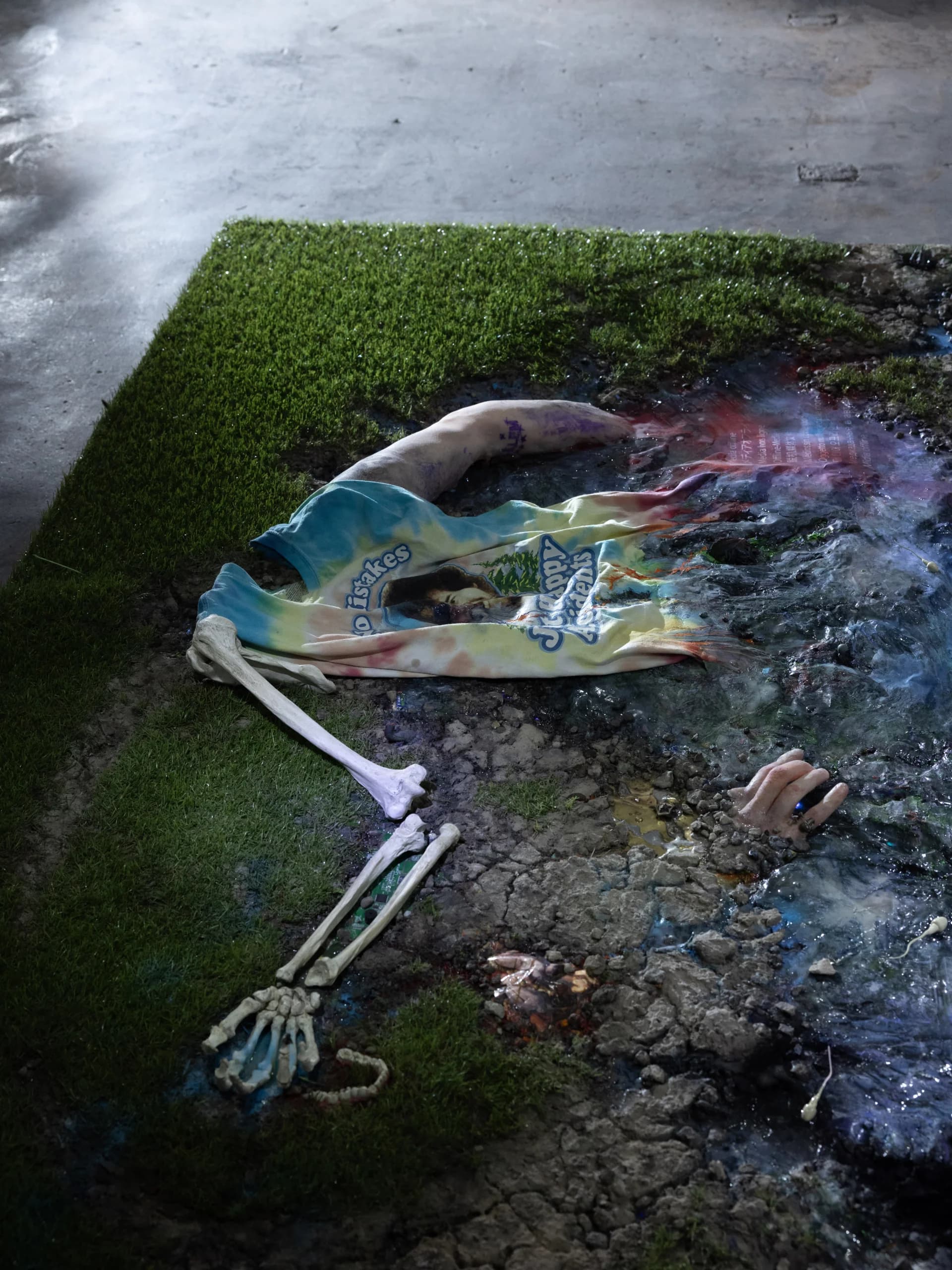 PRODLOUŽENO: Swamp Desires BINDING SITES II (Výstava)